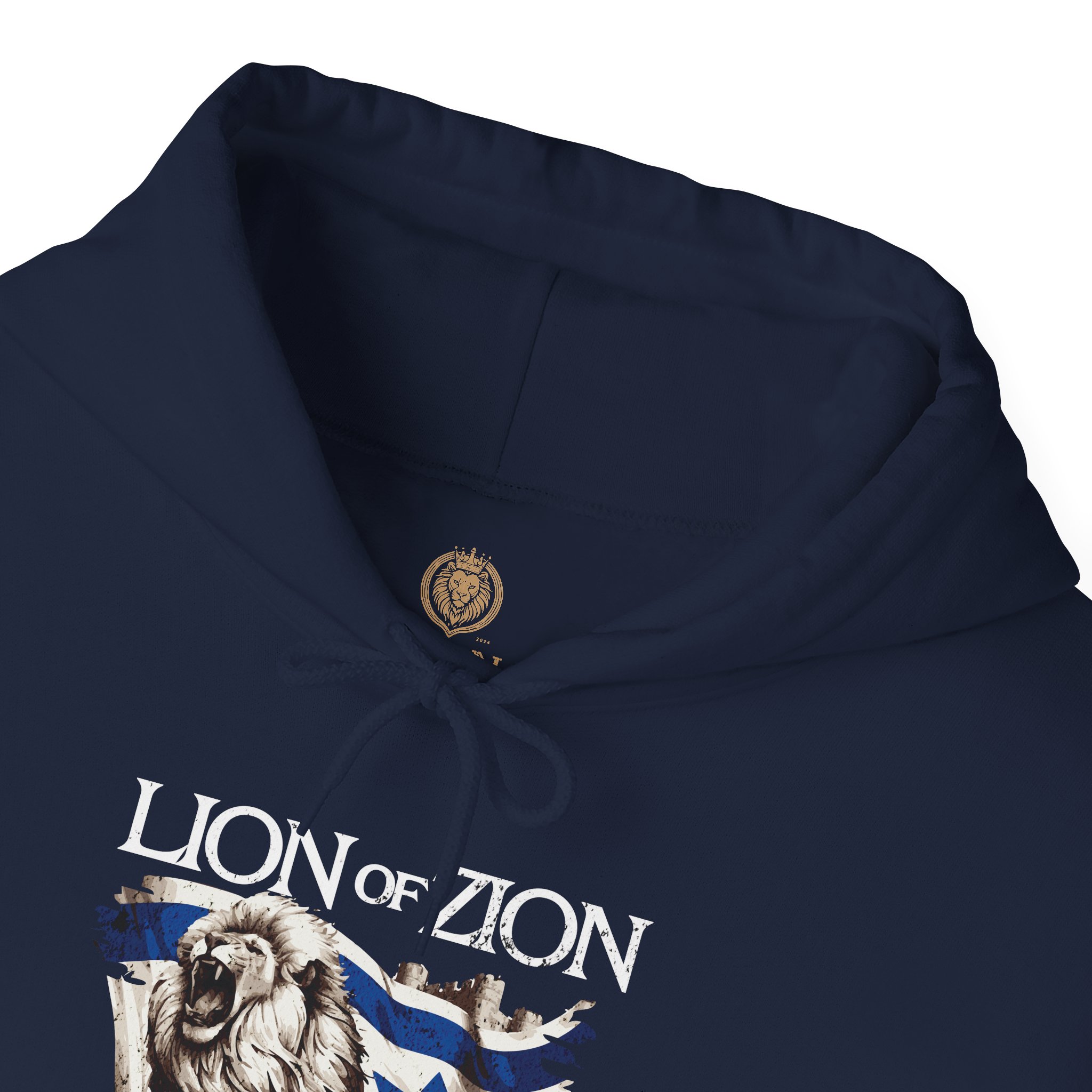 Lion of Zion and Israel Flag Design Hoodie for Men - Image 18