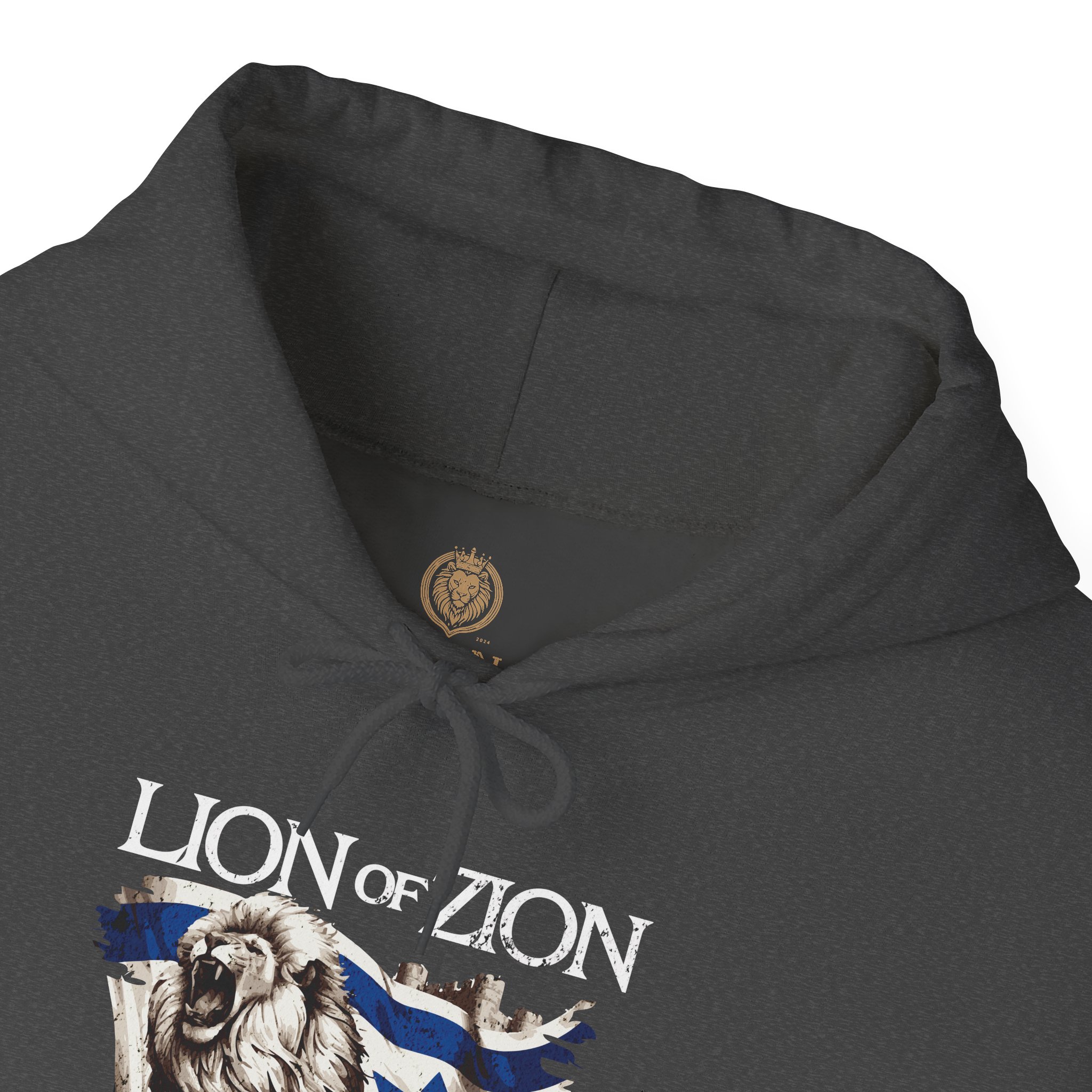 Lion of Zion and Israel Flag Design Hoodie for Men - Image 12
