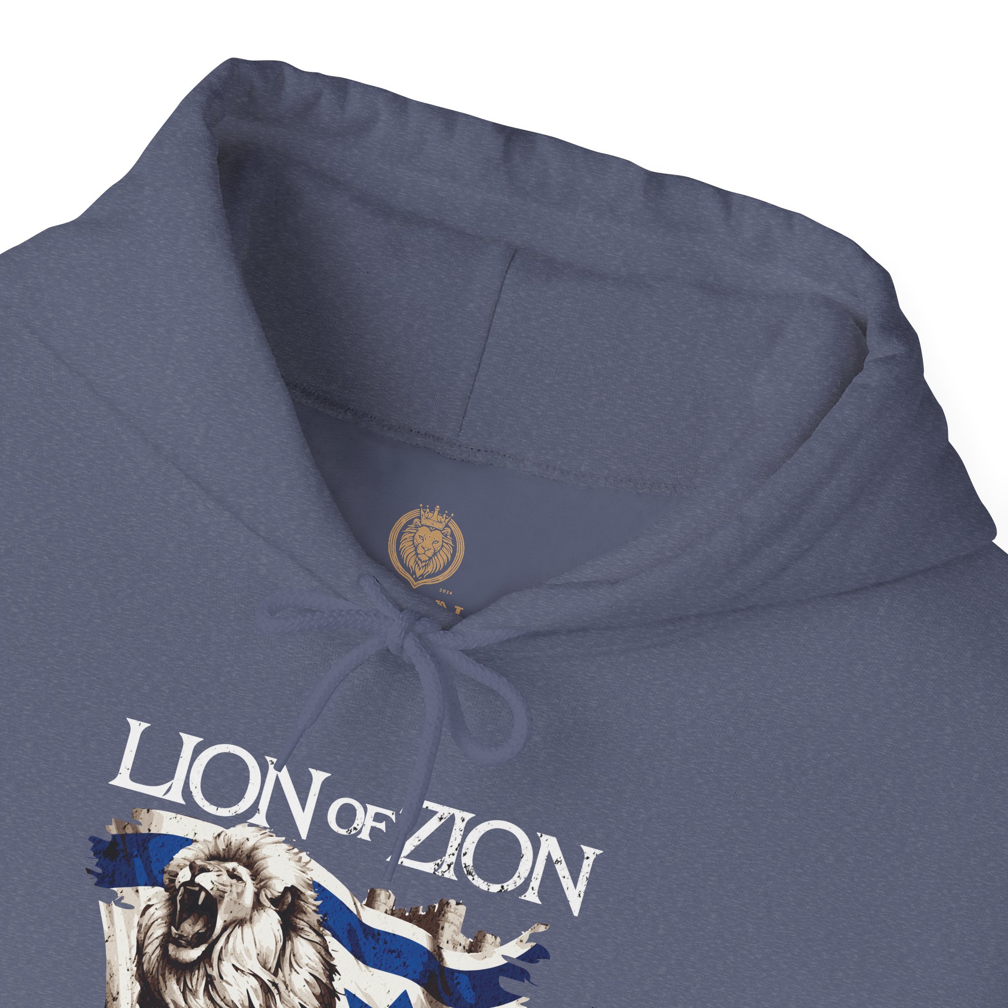 Lion of Zion and Israel Flag Design Hoodie for Men - Image 24