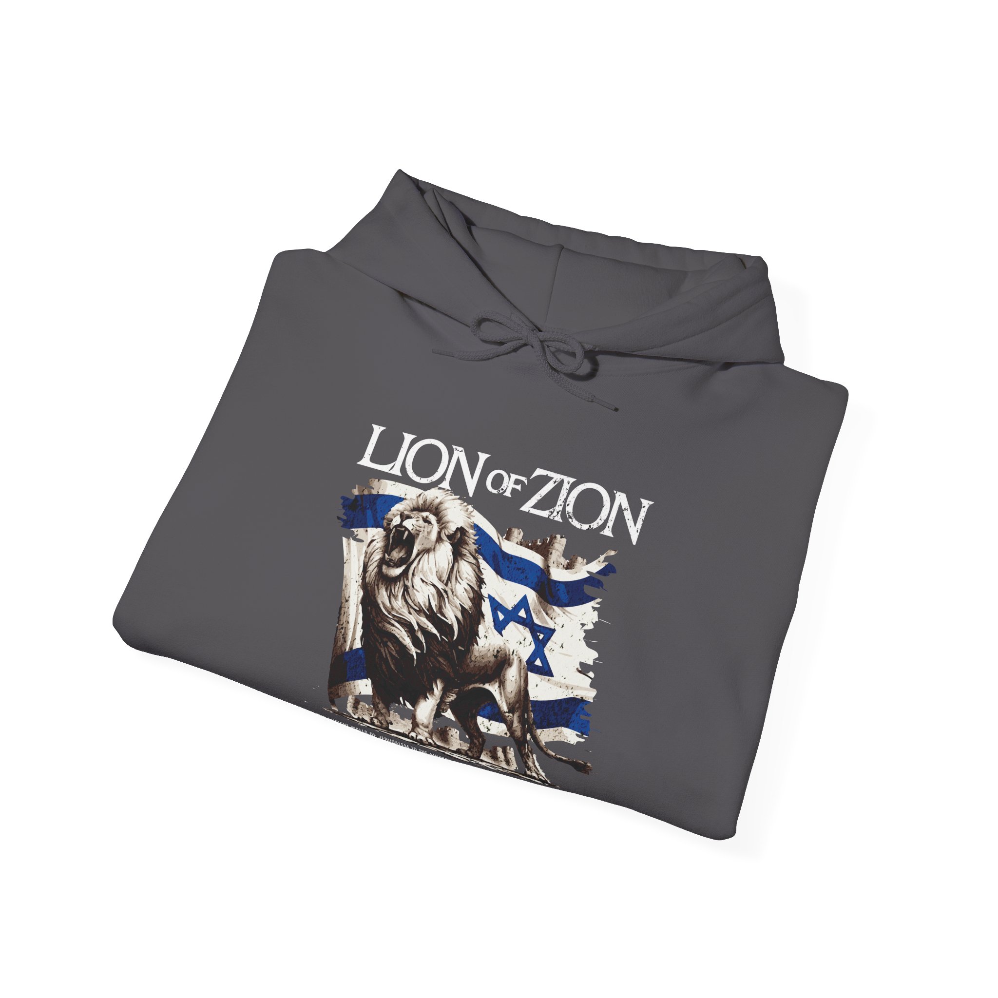 Lion of Zion, Israel Flag Design Women's Hoodie - Image 13