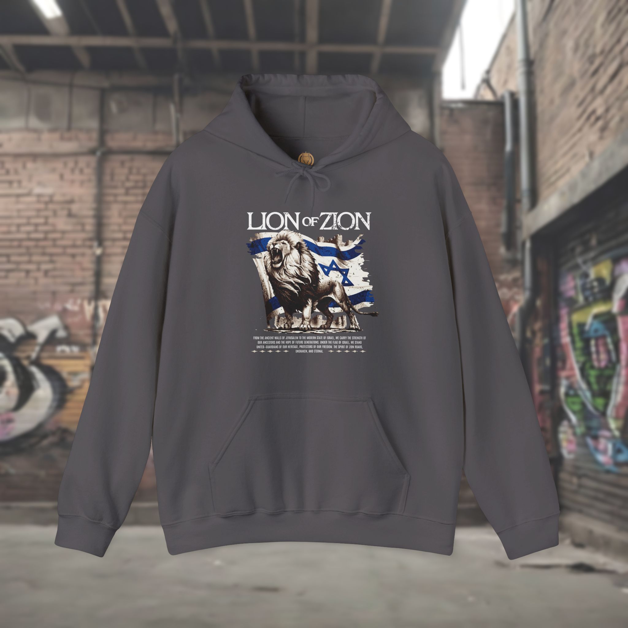 Lion of Zion, Israel Flag Design Women's Hoodie - Image 10