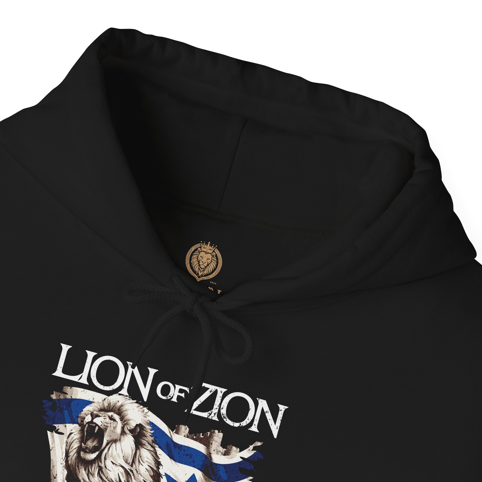 Lion of Zion and Israel Flag Design Hoodie for Men - Image 6