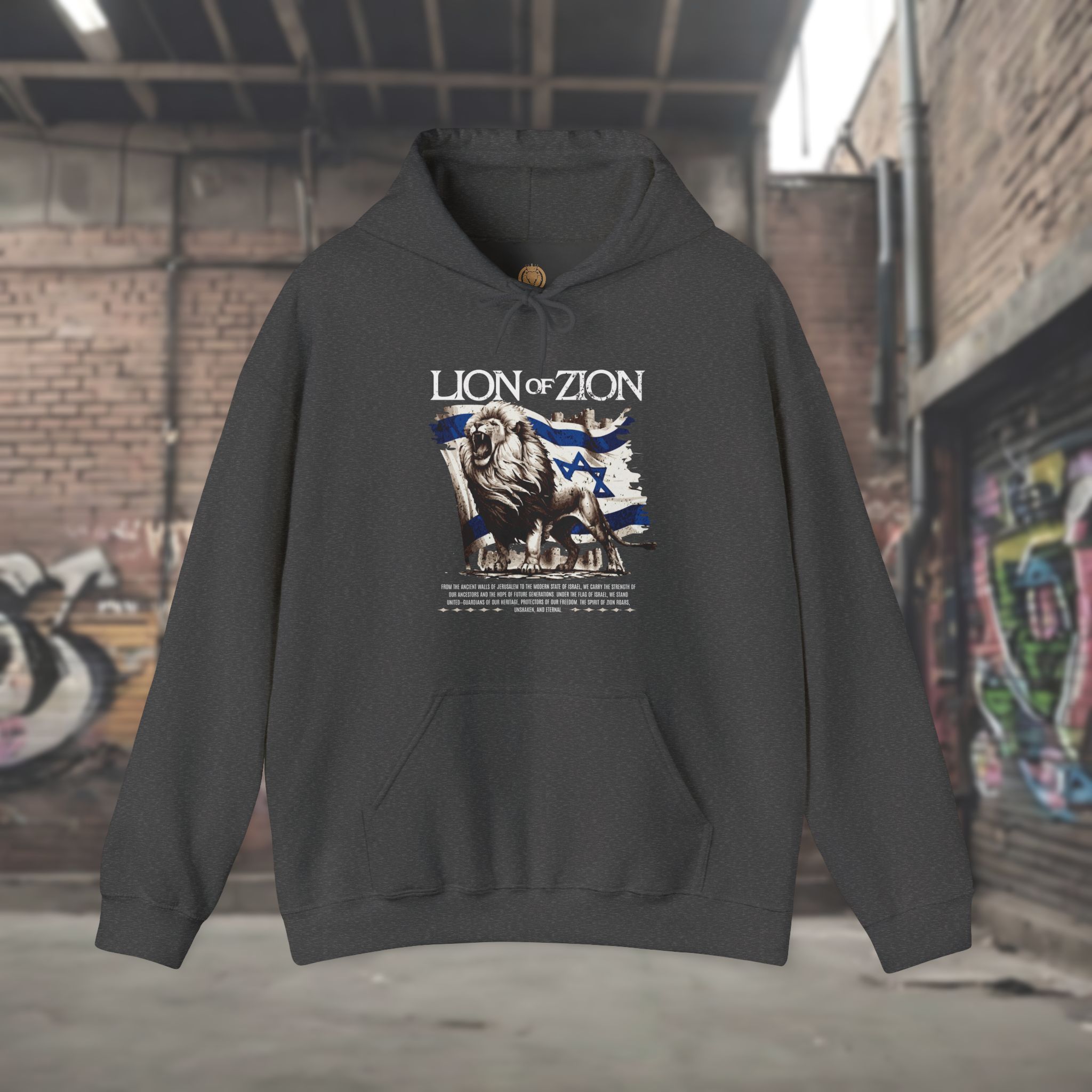 Lion of Zion and Israel Flag Design Hoodie for Men - Image 7